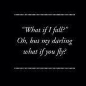 Meet your Posher, Dorothy